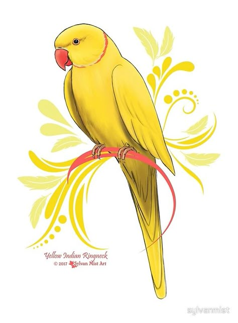 My own original, hand painted, design of a Yellow Indian Ringneck Parrot! • Millions of unique designs by independent artists. Find your thing. Yellow Bird Art, Parakeet Art, Indian Ringneck Parrot, Ringneck Parrot, Parrot Drawing, Indian Ringneck, Parrot Painting, Ring Neck, Parrots Art