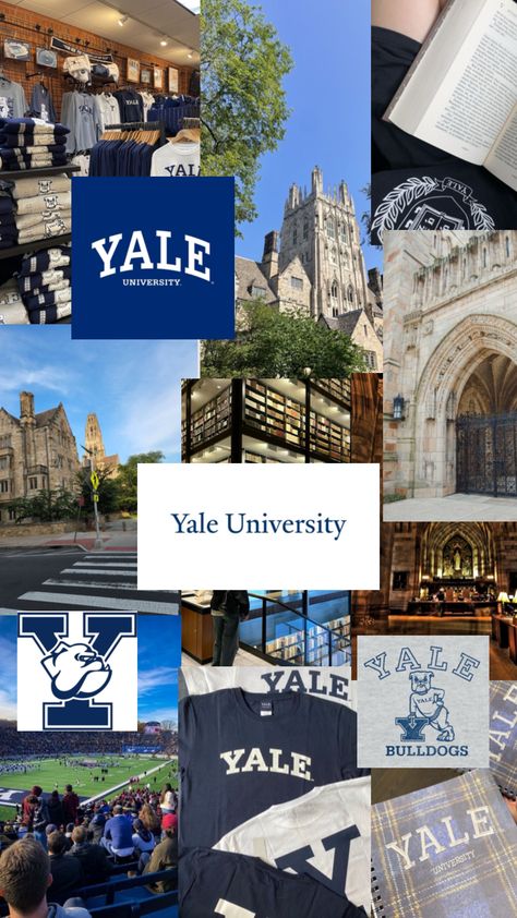 #yale #ivy #ivyleague #yaleaesthetic #shuffle #shuffles #yalejournalist #yalegilmoregirls Yale Acceptance Letter Aesthetic, Yale Psychology, Yale Law School Aesthetic, Yale University Law School, Yale University Poster, Yale Bulldogs, University Inspiration, Academic Aesthetic, Law School Inspiration