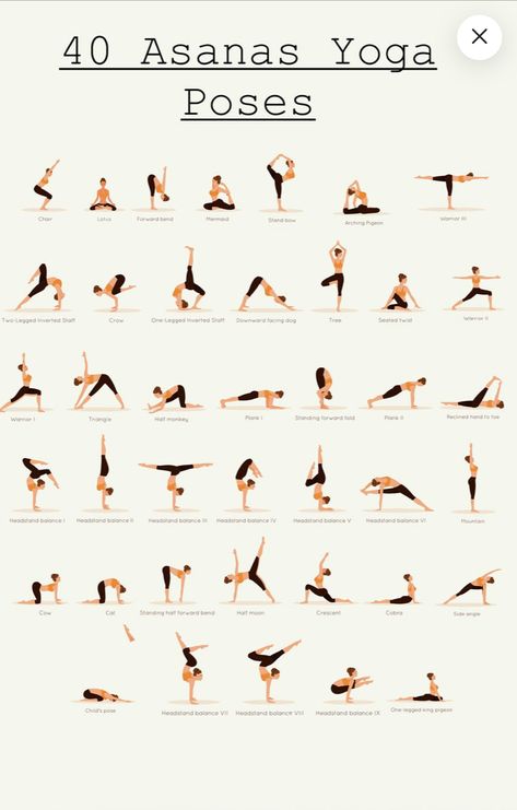 Asanas Yoga Poses, Chest Yoga, Intermediate Yoga Poses, Yoga Poses Chart, Yoga Ashtanga, Yoga Facts, Yoga Poses Advanced, Daily Yoga Workout, Sup Yoga