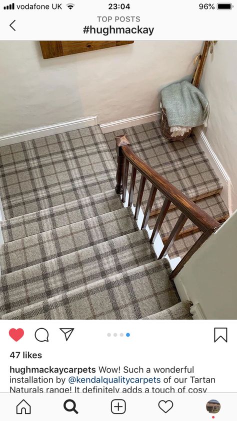 Plaid Carpet Office, Plaid Stair Carpet, Plaid Wall To Wall Carpet, Plaid Carpet Basement, Plaid Carpet On Stairs, Carpeted Basement, Apartment Lobby Design, Stair Idea, Plaid Living Room