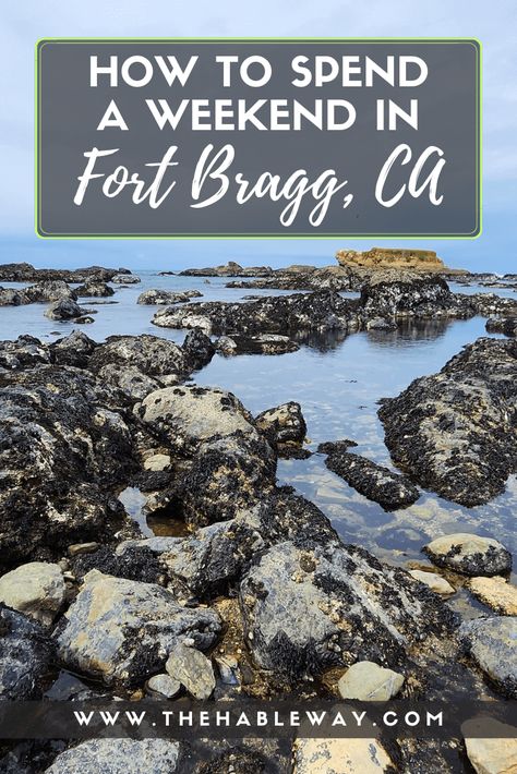 Lodging, dining and activity ideas for Fort Bragg, CA! #fortbragg #mendocino #californiacoast #pacificocean #whalewatching #pacificcoasthighway #tidepools