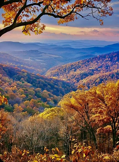 Fall Landscape Aesthetic, Skyline Drive Virginia, Mountains In The Fall, Fall View, Autumn Mountains, Fall Landscape Photography, Fall Nature, Skyline Drive, Fall Landscape