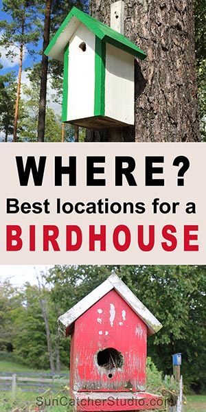 Diy Birdhouse Plans, Backyard Birds Sanctuary, Diy Birdhouse, Birdhouse Plans, Bird Feeder Plans, Nuthatches, Homemade Bird Houses, Bird Houses Ideas Diy, Bird House Plans