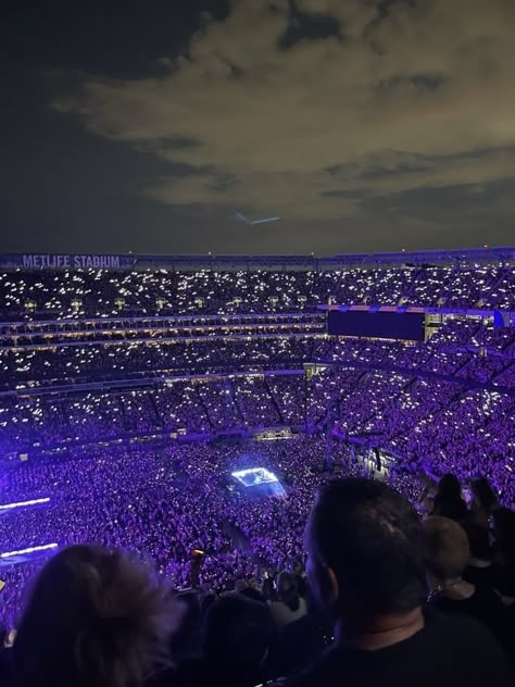 Stadium Tour Aesthetic, Singer Lifestyle, Lady Gaga Concert, Biggest Stadium, Chromatica Ball, Concert Crowd, Future Vision Board, Billionaire Life, Music Studio Room