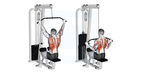 Lat Workouts, Lat Workout, Pull Up Machine, Lat Pulldown Machine, Assisted Pull Ups, Biceps Brachii, Back Muscle, Back Workouts, Lat Pulldown