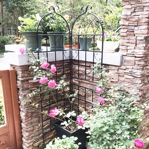 Specifications Color: Black Material: Diameter 0.51” galvanized tube with flat iron Net Weight: 9.7 pounds / 2 pack Package include: 2 x Trellises with Screws (without green plants and flowers)   Product Size Single trellis: 19.7’’ Wide x 71’’High Total… Climbing Plants Outdoor, Flower Support, Pea Trellis, Metal Garden Trellis, Trellis Netting, Garden Arch Trellis, Tiered Planter, Arch Trellis, Metal Trellis