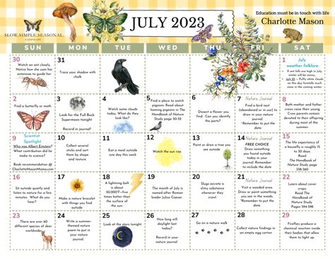 July Nature Calendar - Kindergarten Nature Journal, Foraging Calendar Uk, July Calendar 2020, Homeschool Nature Journal, Charlotte Mason Nature Journal, Nature Calendar, Household Binder, Month Of July, Charlotte Mason