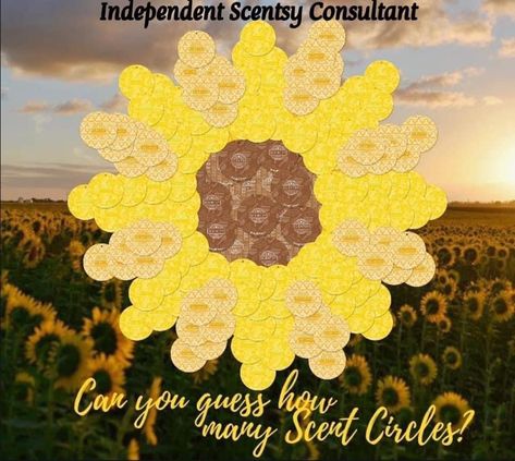 Scent Circle Game, Scent Circles, Scentsy Banner, Scentsy Party Games, Scentsy Pictures, Scentsy Games, Mystery Hostess, Scentsy Consultant Ideas, Circle Game