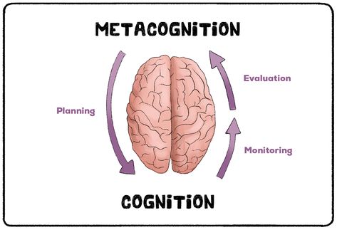 Metacognition | Cognitive Psychology | Practical Psychology Metacognition Strategies, Practical Psychology, Jean Piaget, Cognitive Psychology, Group Study, Page Borders Design, Funny Shirts Women, Page Borders, Borders Design