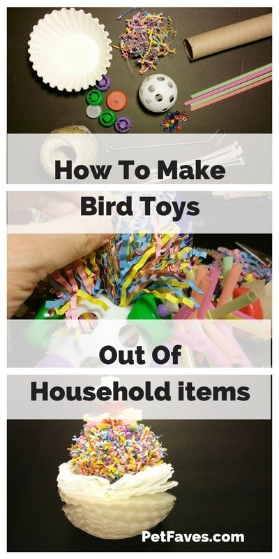 Bird toys can get expensive to buy. Save money by making your own toys. See how you can use items you have around the house to make a fun toy for your parrot. | #parrot #parrottoy #petdiy Bird Toys Diy, Homemade Bird Toys, Cockatiel Care, Diy Parrot Toys, Parakeet Care, Diy Parrot, Diy Bird Cage, Cockatiel Toys, Quaker Parrot