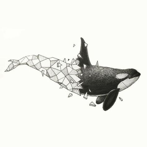 Geometric Orca Tattoo, Orca Art, Orca Tattoo, Whale Drawing, Whale Tattoos, Kerby Rosanes, Geometric Tattoos, Drawing Animals, Incredible Tattoos