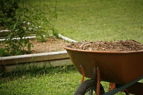 Biointensive Gardening, Garden Mulch, Straw Bale Gardening, Lasagna Gardening, Sloped Yard, Benefits Of Gardening, Raised Bed Gardening, Edible Gardens, Organic Mulch