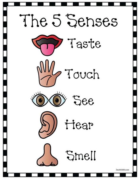 5 Senses Anchor Chart, Senses Anchor Chart, 5 Senses Craft, 5 Senses Preschool, Five Senses Worksheet, Five Senses Preschool, 5 Senses Activities, Preschool Charts, The 5 Senses