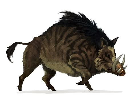 Wild Boar Art, Emboar Pokemon, Boar Art, Pig Art, Fantasy Beasts, Fantasy Animals, Wild Boar, Fantasy Monster