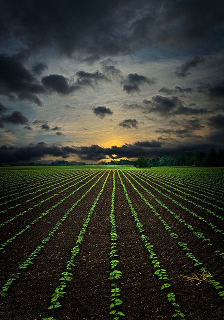 Life Lines, Wisconsin, USA Farm Photography, मोबाइल वॉलपेपर, A Farmer, Down On The Farm, Foto Art, Country Farm, On The Farm, Country Girl, Country Life