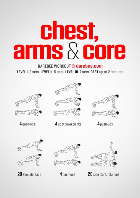 Chest, Arms & Core Workout Core Workout Beginner, Arms And Core Workout, Beginner Core Workout At Home, Arm Workout Without Weights, Bicep Workout At Home, Kitchen Pantry Organization Ideas, Chest And Arm Workout, Core Workout Men, Chest Day Workout