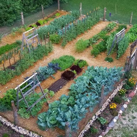 ​​﻿​﻿﻿11 Vegetable Garden Ideas | The Family Handyman Garden Layout Vegetable, Potager Garden, Backyard Vegetable Gardens, Secret Gardens, Veg Garden, Have Inspiration, Home Vegetable Garden, Vegetable Garden Design, Food Garden