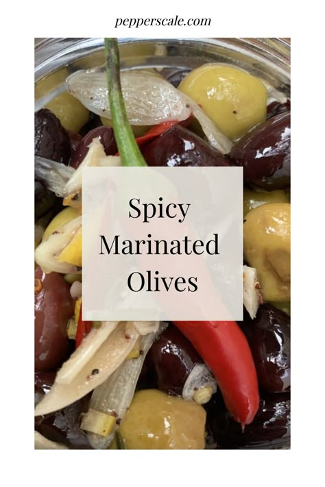 Spicy Marinated Olives Spicy Olive Oil Recipe, Best Marinated Olives, Marinated Olives And Cheese, Spicy Marinated Olives, Marinated Olives Appetizer, Spanish Marinated Olives, Spicy Appetizers, Marinated Olives, Pickled Garlic