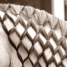 Horses with long manes need special care and special braids for shows. Description from uk.pinterest.com. I searched for this on bing.com/images Horse Hair Styles, Horse Hair Ideas, Horse Hairstyles, Mane Braids, Horse Mane Braids, Horse Braids, Horse Hair Braiding, Horse Braiding, Foto Cowgirl