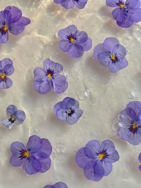 Violet Aesthetic, Purple Flowers Wallpaper, Flowery Wallpaper, Iphone Wallpaper Themes, Flower Background Wallpaper, Aesthetic Pastel Wallpaper, Pretty Wallpaper Iphone, Summer Wallpaper, Iphone Background Wallpaper