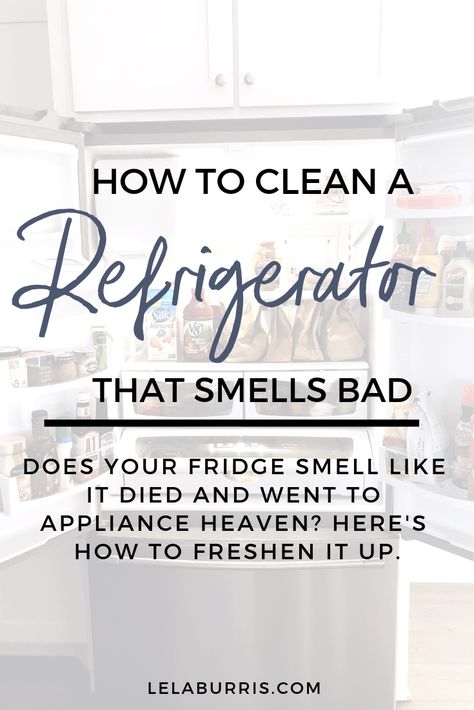 What To Do When Your Fridge Smells Bad - Lela Burris Smelly Fridge, Mold Smell, Fridge Smells, Fridge Odor, Clean Refrigerator, Bad Bad, Diy Cleaning Hacks, Bathroom Smells, Cleaning Motivation