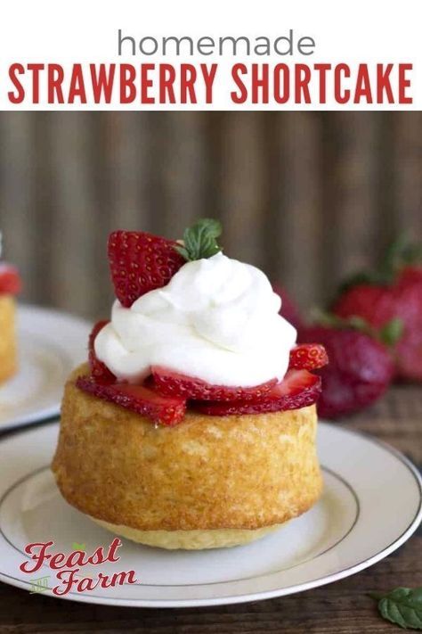 Strawberry Shortcake Mini, Homemade Strawberry Shortcake, Shortcake Cake, Strawberry Shortcakes, Strawberry Shortcake Cake, Strawberry Shortcake Recipes, Shortcake Recipe, Salty Cake, Cookie Cups