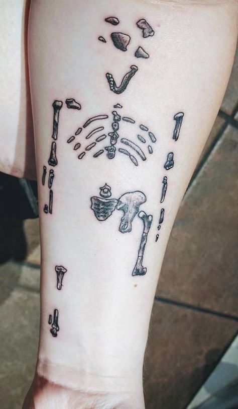 Archeology Tattoo Ideas, Anthropology Tattoo Ideas, Archaeology Tattoo Ideas, Forensic Science Tattoos, Anthropology Tattoo, Archeology Tattoo, Ancient Tattoo Ideas, Archaeology Tattoo, History Tattoo Ideas