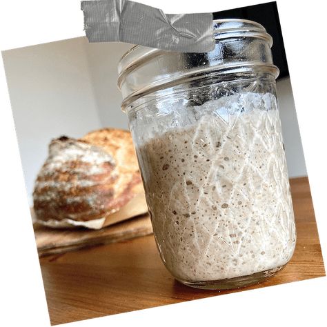 Sourdough Starter From Scratch in 7 Days - Natasha's Baking Natashas Kitchen Recipes, Canned Tomato Recipes, Rye Sourdough Starter, Sourdough Chocolate Chip Cookies, Sourdough Starter From Scratch, Tartine Bread, Natashas Kitchen, Breads Bakery, Sourdough Bread Starter