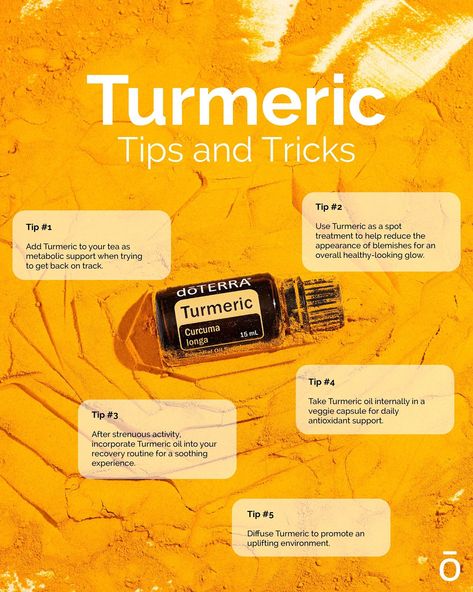 Do Terra, Turmeric Essential Oil, Turmeric Oil, Essential Oil Education, Doterra Essential Oils Recipes, Oil Remedies, Essential Oils Herbs, Essential Oils Health, Essential Oil Mixes