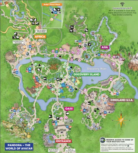 Animal Kingdom Map PDF #waltdisneyworld #themepark #disney #animalkingdom #solotravel #disneysolo Animal Kingdom Map, Disney Maps, Orlando Map, Disney Map, Animal Kingdom Orlando, Disney World Animal Kingdom, Kingdom Map, Planet Zoo Inspiration, Discovery Island