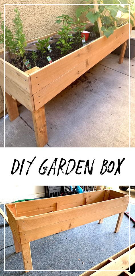 Diy Raised Planter, Garden Boxes Diy, Raised Planter Boxes, Garden Boxes Raised, Garden Planter Boxes, Diy Planter Box, Diy Raised Garden, Raised Garden Beds Diy, Raised Planter