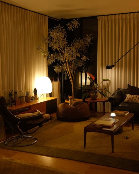 night at the chrenji residence (chris & benji) Cozy Homes Aesthetic, Benji Plant House, Living Room Night Lighting, Brown Couch Aesthetic, Evening Living Room, Warm Living Room Aesthetic, Japan Apartment Aesthetic, Benji Plant, Warm Lighting Living Room