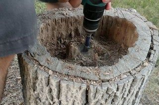 Stump Decor, Tree Stump Decor, Stump Planter, Birdcage Planter, Tree Stump Ideas, Tree Stump Planter, Stump Ideas, Log Planter, Tree Stumps