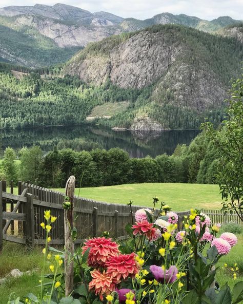 Liv Sandvik Jakobsen (@livslyst) Norwegian House Interior, Norwegian Cottage, Norwegian Home, Cottage House Interior, Norwegian House, Scandinavian Cottage, Simple Cottage, Picture Tree, Rural House