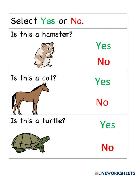 Ejercicio de Pets - Select Yes or No for each picture. Yes Or No Worksheet For Kindergarten, Special Education Paraprofessional, Kindergarten Reading Activities, Yes Or No Questions, Domestic Animals, Flash Card, Yes Or No, Kindergarten Reading, Reading Activities