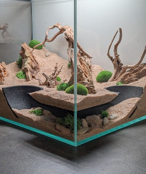 Arid Bioactive Vivarium, Snake Tank Setup Ball Python, Diy Reptile Enclosure Furniture, Aquarium Tunnel, Diy Bearded Dragon Enclosure, Gecko Cage, Leopard Gecko Tank, Diy Reptile, Bearded Dragon Enclosure