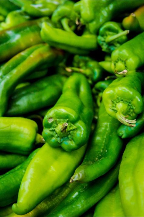 Best Anaheim Pepper Seeds Stuffed Anaheim Peppers, Fruit Photography, Pepper Plants, Delicacy Food, Pepper Seeds, Aesthetic Lifestyle, Late Fall, Green Chile, Sweet Chocolate