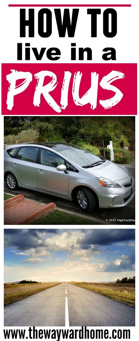 It's possible to live in a Prius or use it for Prius camping. Learn more about what it takes to sleep in a car. #camping #vanlife Small Car Camping, Prius Camper, Car Camping Ideas, Living In A Car, Prius Camping, Sleep In Car, Sleeping In Your Car, Camper Van Conversions, Camping Parties