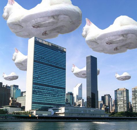 Hovercat invasion. Hover Cat, Funny Photoshop Pictures, Cat And Cloud, Giant Cat, Funny Photoshop, Photoshop Pics, Photoshop Images, 웃긴 사진, Images Gif