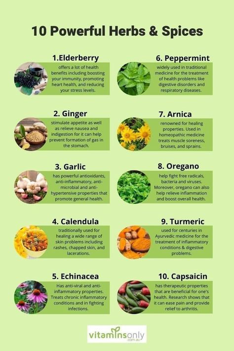 Herbs and spices for overall health.  #herbs #health Healing Spices, Herbal Remedies Recipes, Medicinal Herbs Garden, Medical Herbs, Food Health Benefits, Magic Herbs, Herbs Garden, Natural Healing Remedies, Healing Remedies