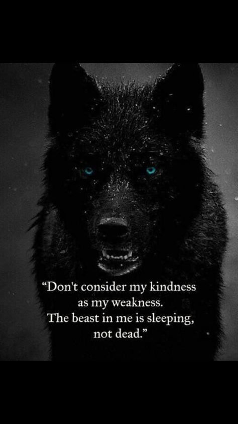 Christmas Essay, Lone Wolf Quotes, Beast Quotes, Quotes Encouragement, Wolf Quotes, She Wolf, Warrior Quotes, Writing Contests, Lone Wolf