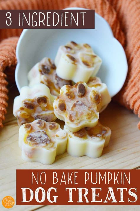 Make these easy no bake treats for dogs with just 3 healthy ingredients including pumpkin. Your dog will love these simple frozen treats and you won't believe how easy they are to make! These pumpkin dog treats make a great Fall treat for dogs and a great gift for dog lovers too. #pumpkin #dogtreats #nobake #dogfoodrecipes No Bake Pumpkin Dog Treats, Pumpkin Dog Treats Recipe, Bake Dog Treats, No Bake Dog Treats, Pup Treats, Dog Treats Recipe, Pet Treats Recipes, No Bake Pumpkin, Dog Treats Homemade Easy