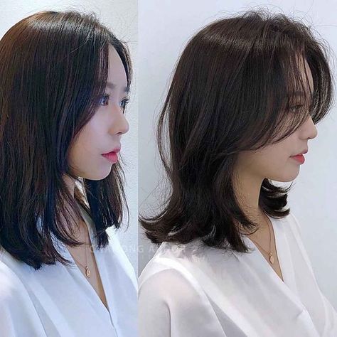 A Korean wolf cut grants you a foxy, elegant flair to your look. Tap the photo to see more wolf haircut looks. // Photo Credit: @chahong.official on Instagram Korean Wolf Cut, Pelo Color Borgoña, Female Short Hair, Haircut Korean, Dunner Wordend Haar, Wolf Haircut, Haircut Inspo, Haircut Inspiration, Wolf Cut