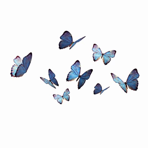 Butterfly Png Aesthetic, Butterfly Widget, Samsung Phone Wallpaper, Navy Blue Decor, Butterfly Cutout, Widgetsmith Aesthetic, Aesthetic Butterfly, Blue Butterfly Wallpaper, Boho Art Drawings