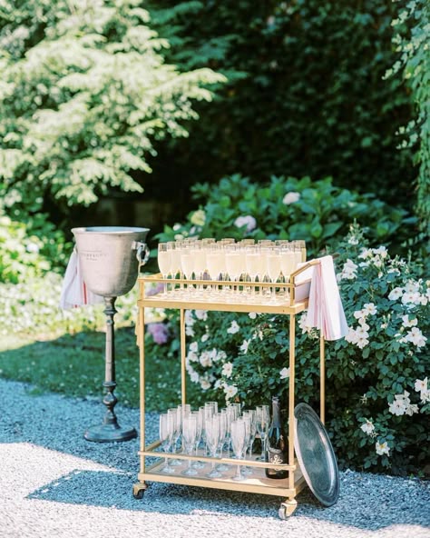 A welcome champagne cart following your ceremony is the perfect way to set the mood for a romantic evening under the stars🥂 Venue:… | Instagram Champagne During Ceremony, Champagne At Ceremony, Champagne Ceremony Wedding, Welcome Champagne Table, Champagne Before Wedding Ceremony, Wedding Welcome Drinks Table, Wedding Welcome Champagne, Welcome Champagne Wedding, Champagne Cart Wedding