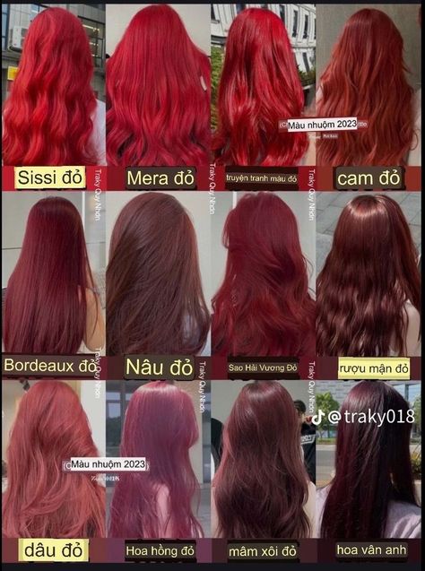 Different Types Of Hair Colors, Red Rose Hair Color, Type Of Red Hair Color, Types Of Red Hair, Red Halo Hair, Maroon Hair Color, Halo Hair Colors, Asian Red Hair, Pelo Color Vino