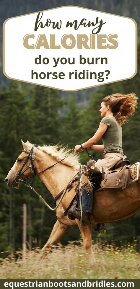 Tackless Horse Riding, Horse Riding Tips Western, Horse Riding Tips For Beginners, Western Riding Outfit, Western Horse Riding Aesthetic, Horseback Riding Outfit Western, Horse Riding Outfit Western, Riding Outfit Western, Cantering Horse