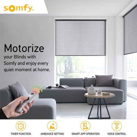 Are you Looking For a smart life, Switch on to Somfy. Somfy Blinds, Helmet Concept, Spc Flooring, Zebra Blinds, Flooring Carpet, Motorized Shades, Motorized Blinds, Pvc Door, Blinds Curtains