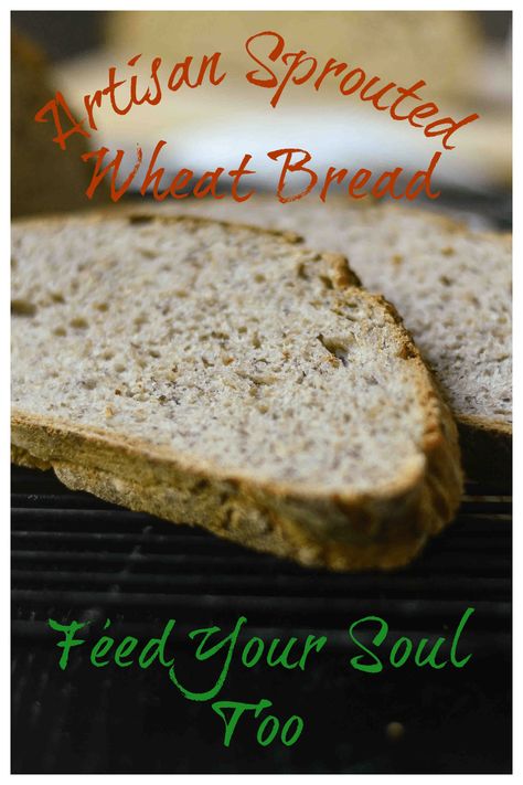 Artisan Sprouted Wheat Bread Sprouted Wheat Bread, Bread Artisan, Sprouted Wheat, Best Bread Recipes, Sprouted Grains, Oats And Honey, Best Bread Recipe, Best Bread, Trying New Things