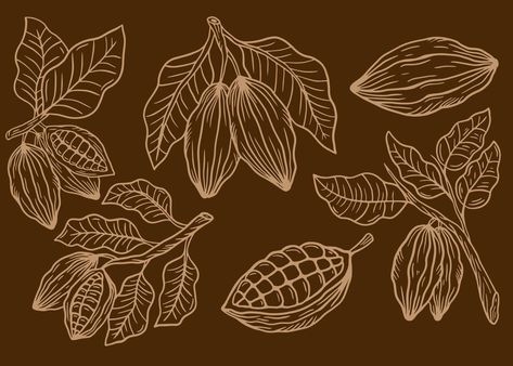 Chocolate Illustration, Leaves Sketch, Food Vintage, Hot Chocolate Marshmallows, Cartoon Heart, Dark Green Background, Line Sketch, Cocoa Seeds, Tropical Foliage